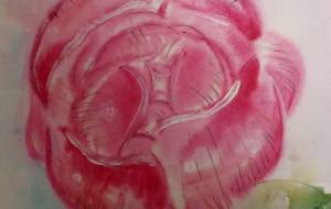 light　　poeny - サオリ 