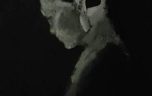 恩慈悲愛弁当夢、僕の頭の中で泣かないで、大丈夫だよ（お弁当の愛する夢）精神、貴方はいつも夢のなか会いに来る - 真鍋哲地 