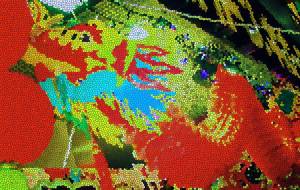 Dragon - Yukihiro Sato 