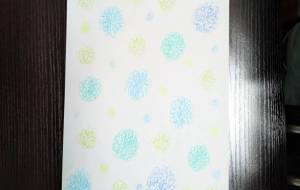 flowers - CHITOSE FUJI 