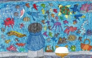 水族館 - にぼし