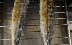 生秋刀魚 - 笹谷正博