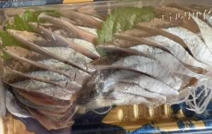 秋刀魚の刺し身 - 笹谷正博 