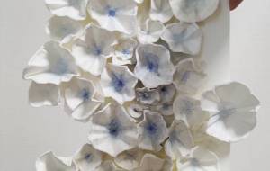 無題 - Magical-Draw ICO