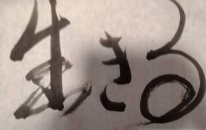 そのもの - エミリ 