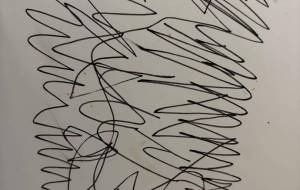 アール・ブリュット挑戦 - 笹谷正博 