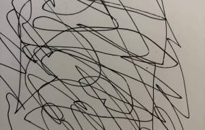 アール・ブリュット挑戦 - 笹谷正博