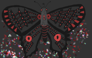 幸運と不吉の黒蝶 - アンドル 