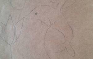 イルカと、ちゅうちゅう!! - 宇宙水晶