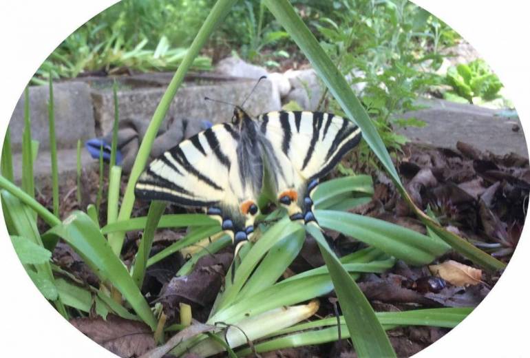 これからぼちぼち