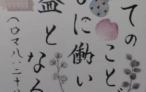 みことばカード - エミリ 