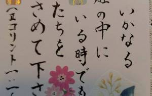 みことばカード - エミリ 