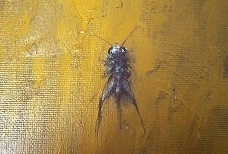 昆虫君の死、尊い命の黄金ベッド