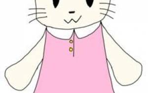 ねこねこワンピ - AKI-‘ω-)