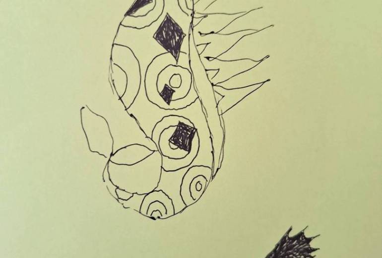 ふたつのタツノオトシゴ