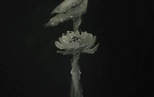 （鳥神）リビドー例えば、精神障がい者の愛 - 真鍋哲地 