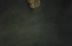 お菓子アート（資源アート） - 真鍋哲地 