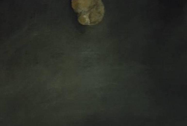 お菓子アート（資源アート）