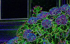 彩吹 - Yukihiro Sato