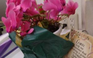 クリスマスの頃 - エミリ 