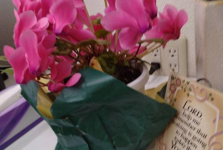 クリスマスの頃