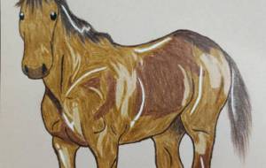 一頭の馬 - SAYAKA 