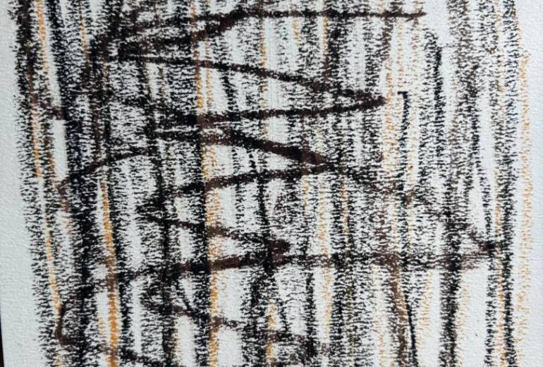 アール・ブリュット挑戦