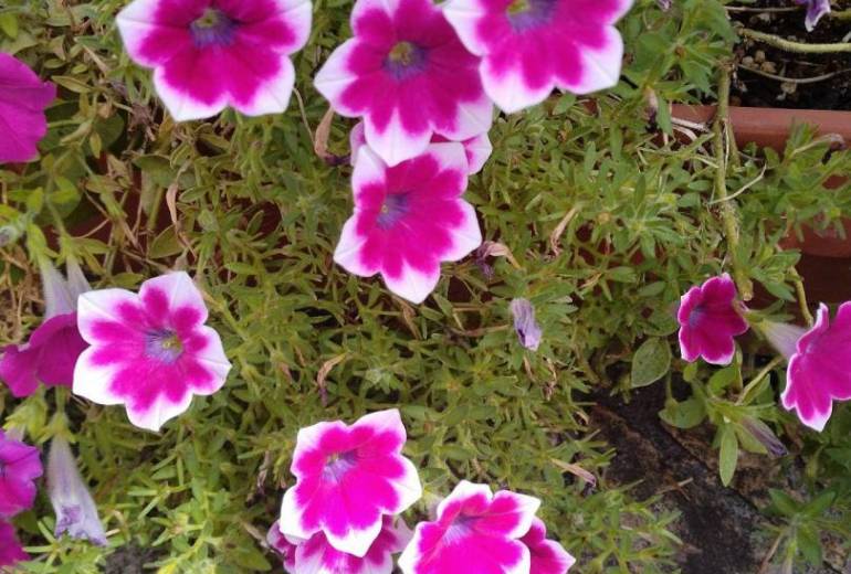 なんとも言えず