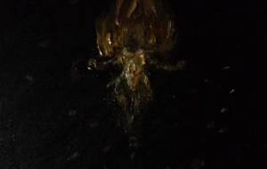 我は燃え尽きぬ！我は炎舞い上がる！我が名は天界炎神不動明王 - 真鍋哲地 