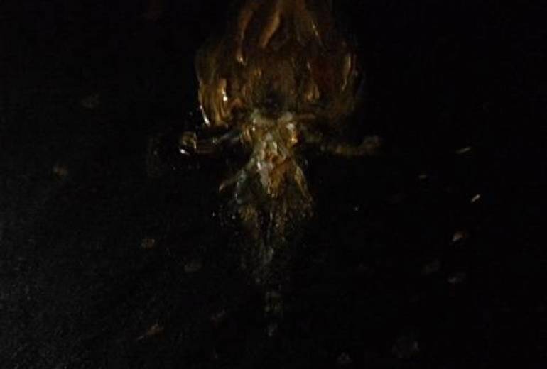 我は燃え尽きぬ！我は炎舞い上がる！我が名は天界炎神不動明王