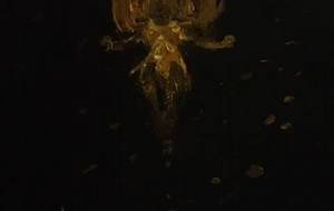 我が名は大円火乱炎神、王神火炎不動明王 - 真鍋哲地 