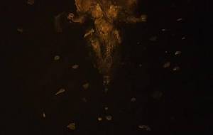 愛しき炎達よ我が名を唱えよ、我は天上界炎神不動明王 - 真鍋哲地 