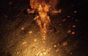 我が名は黒炎絶大神不動明王 - 真鍋哲地 