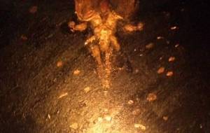 我は降臨、我は天上界炎神不動明王(不動明王様に託して、僕はどんな困難にも負けない) - 真鍋哲地