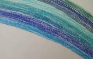 森と水 - 椛澤敏光 