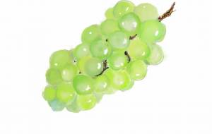 シャインマスカット - 香織 