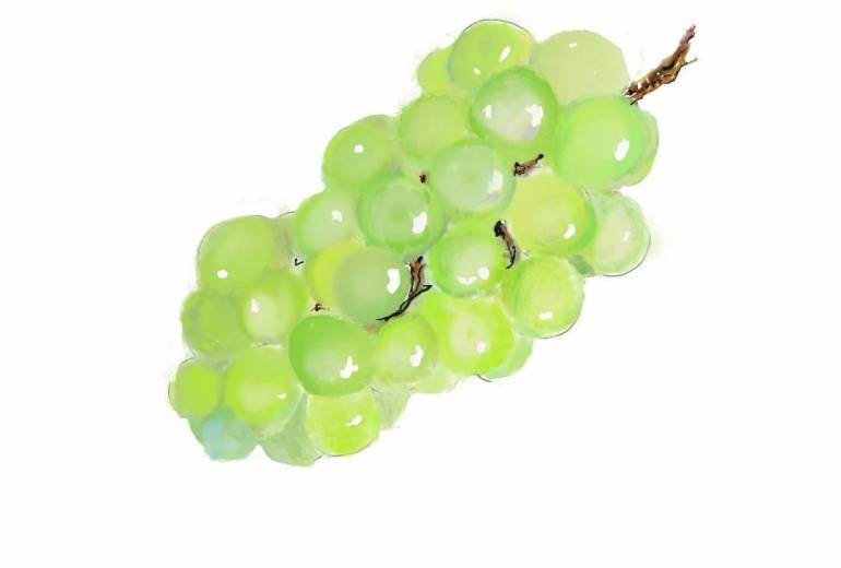 シャインマスカット