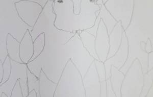 チューリップ畑 - 宇宙水晶 