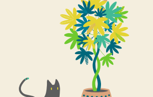 パキラと猫 - 甘蜜アヤカ 