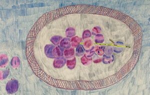 ぶどう - MITIKO 