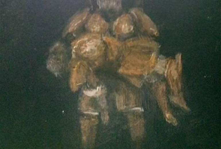 我は十二神将 宮昆羅大将　ソナタの 命懸けの戦い伐折羅大将、我らは十二神将永遠に忘れぬ