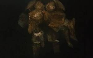 我ら十二神将、我らは永遠 - 真鍋哲地