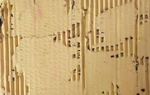 黄色い段ボール - naomi 