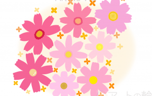 秋のコスモス・金木犀 - 虹とシャボン玉 