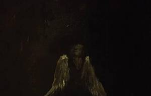 私はカラス族末裔、戦士カラス天狗 - 真鍋哲地