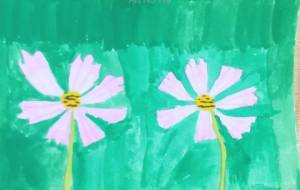 コスモス - わかな