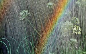 虹もよう - 篠田光雄 