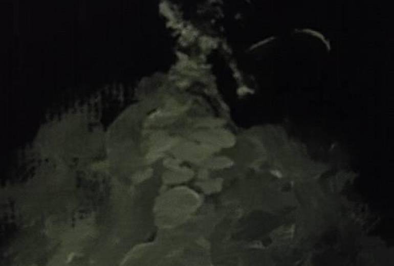 クローズアップ雷神、（オマケ映像）