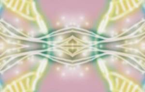 2026午年 - 相田朋子 