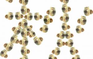 リスで秋 - しゅうたん 